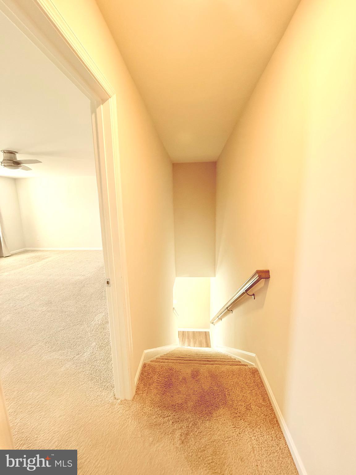 SHANNON COVE - Residential