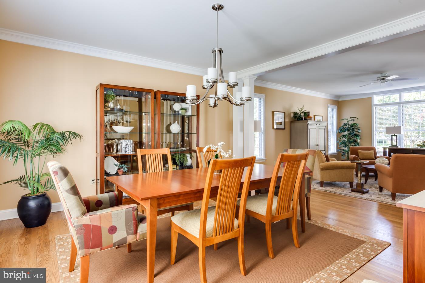 SILVER RUN - Residential