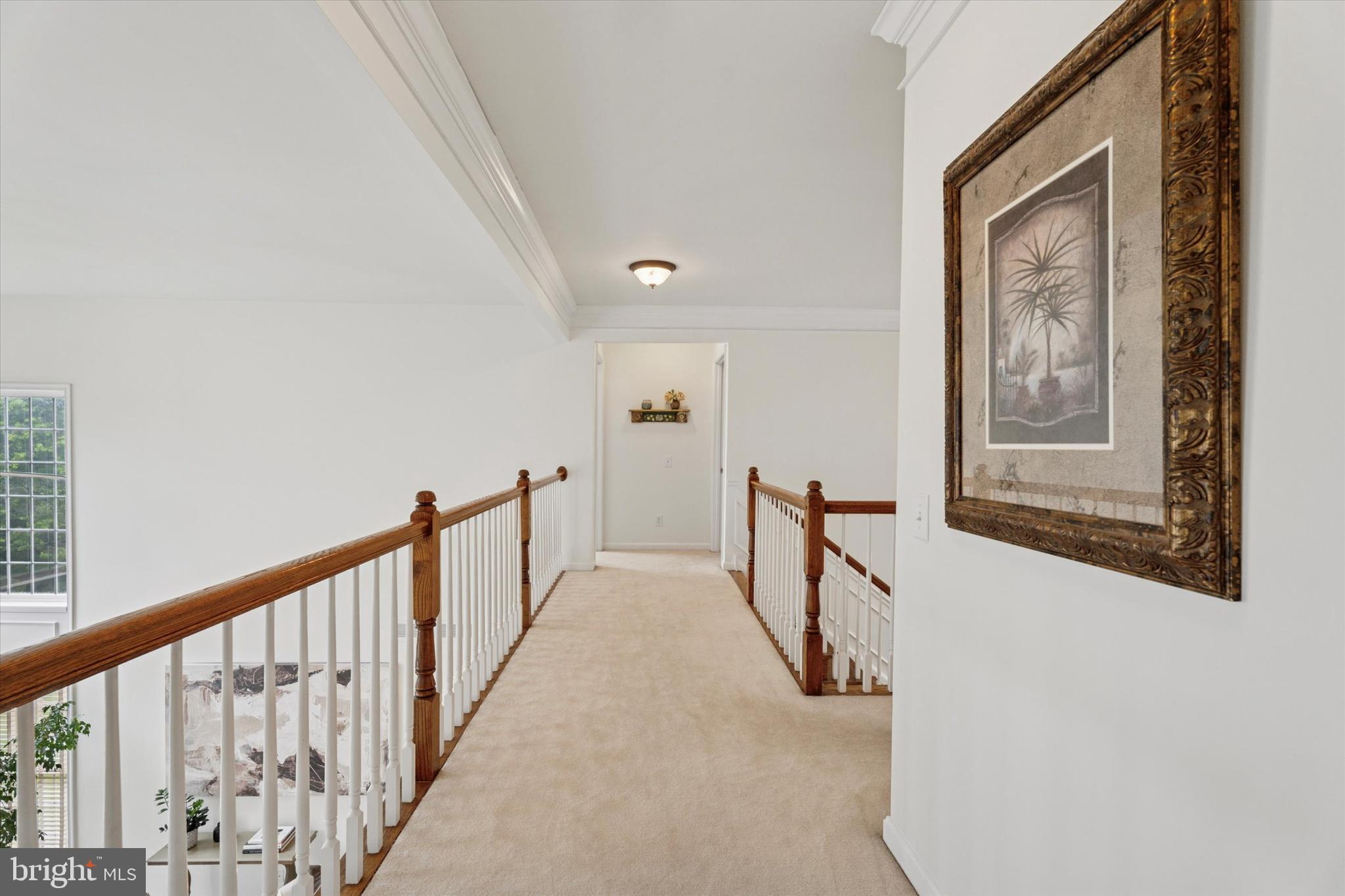 EAGLE HUNT - Residential