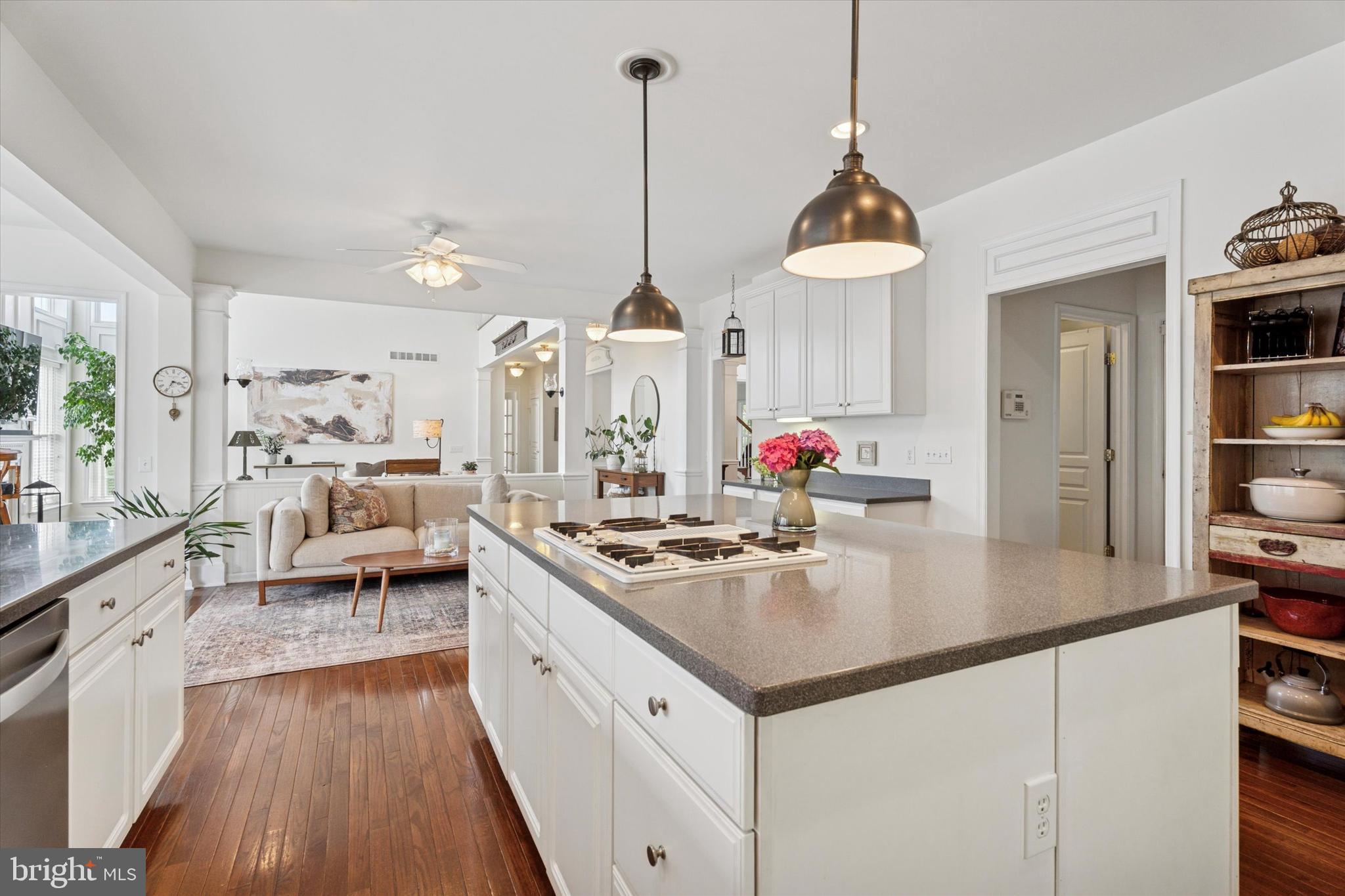 EAGLE HUNT - Residential