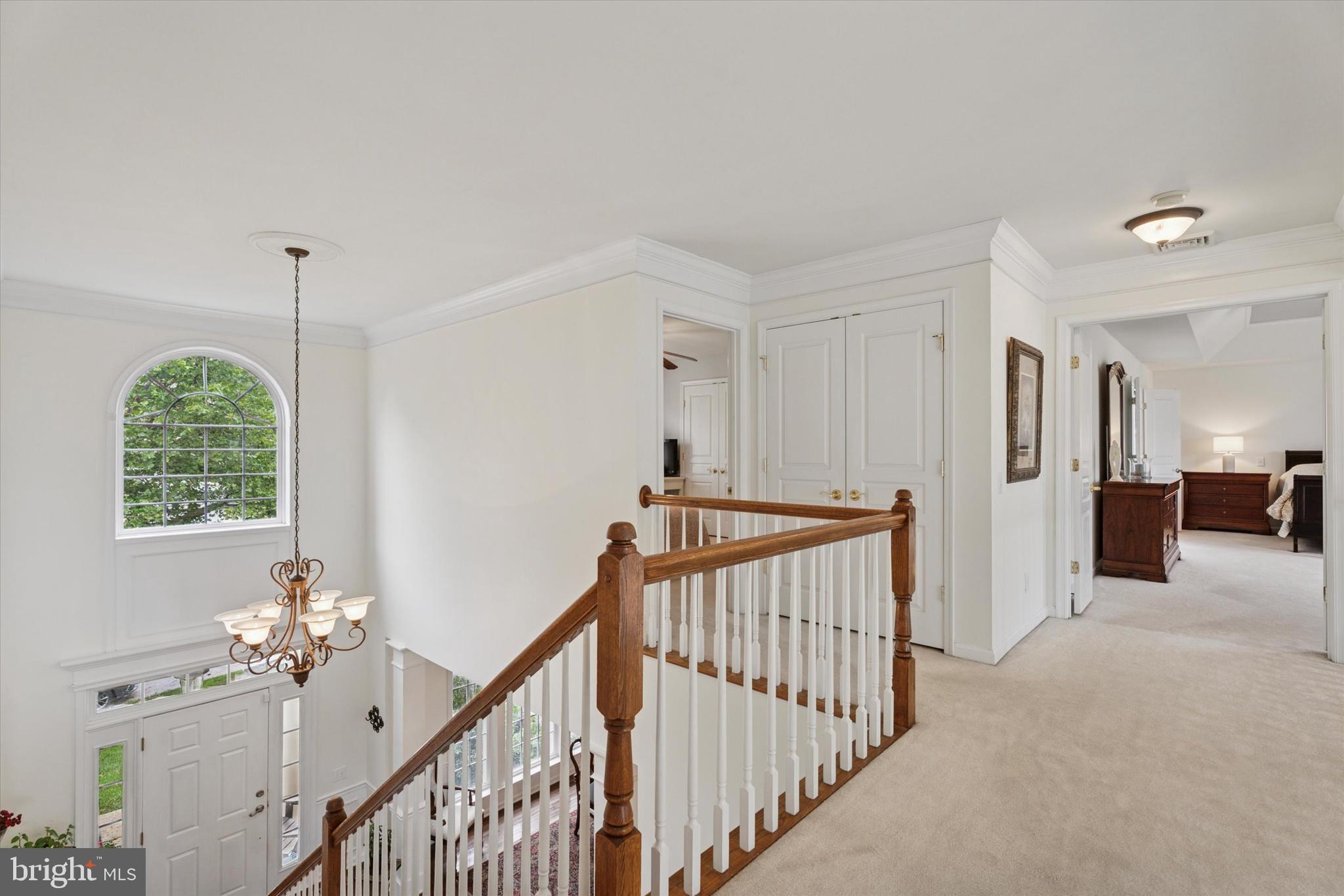 EAGLE HUNT - Residential