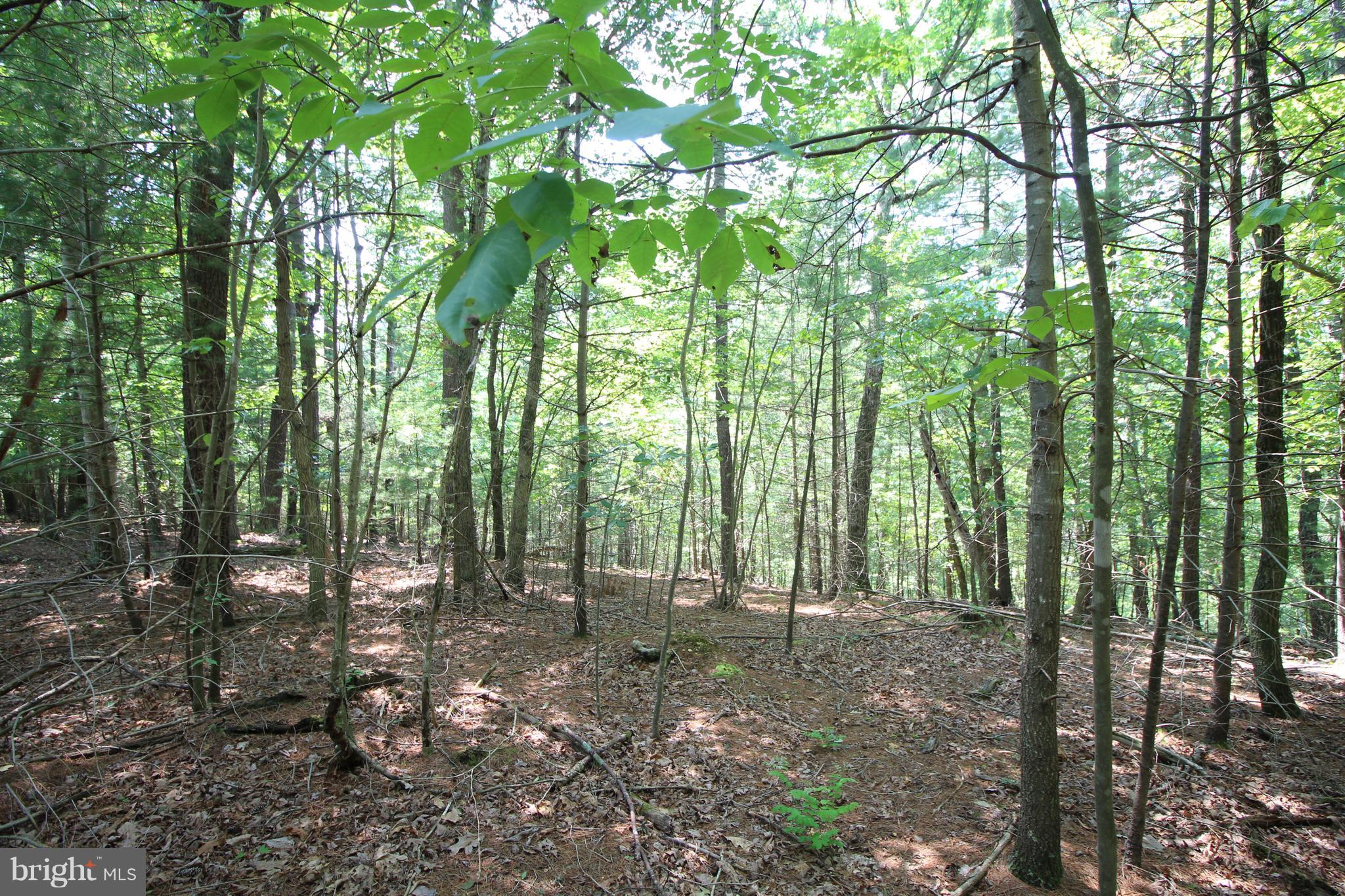 Reduced $10,000! At the end of the cul de sac on High Point Drive, this gorgeous 2.34 acres has a great view. Great building site, public water(tap fees paid) and perk test. Lot's of nature and outdoor activities nearby. (Broker/Owner)