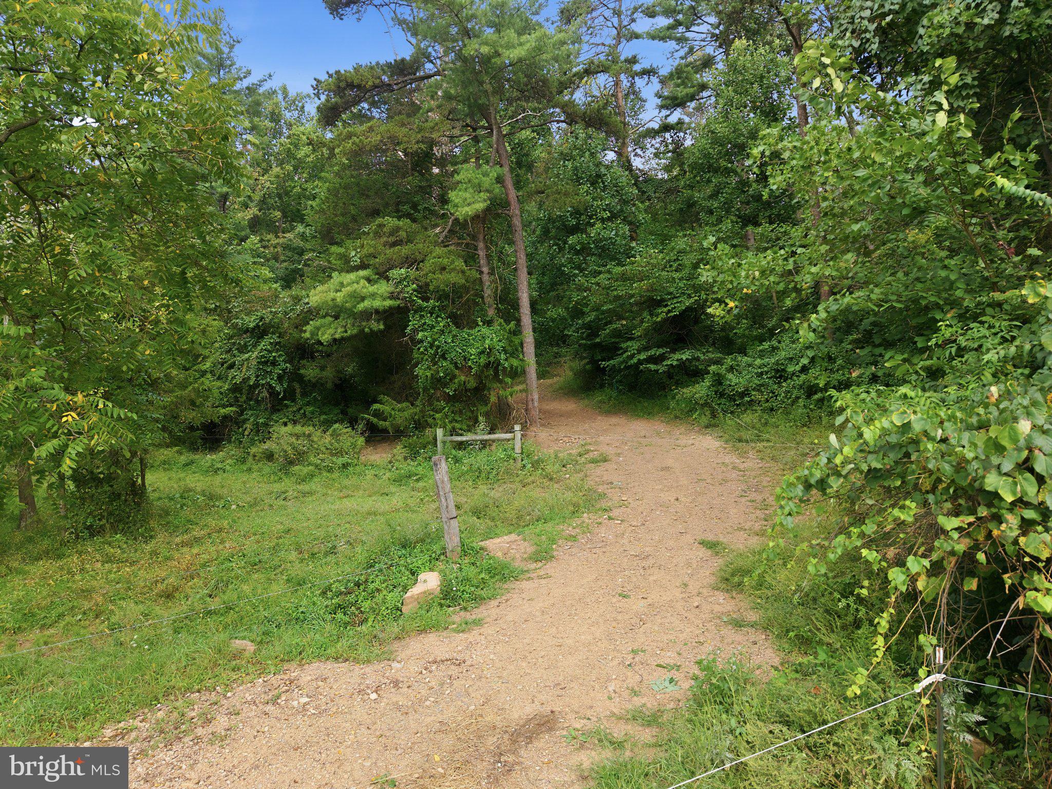 00 LETTYS LANE