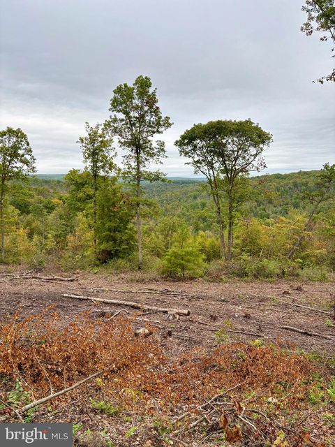 Vacant Land For Sale - 31-36 Beech Creek Mountain Road<br/> BEECH CREEK, PA 16822