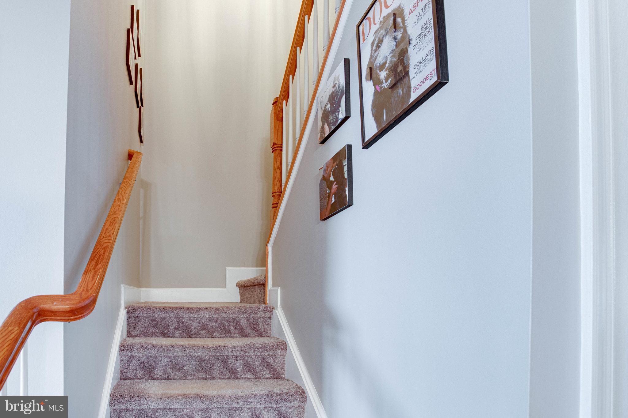 POTOMAC CLUB - Residential