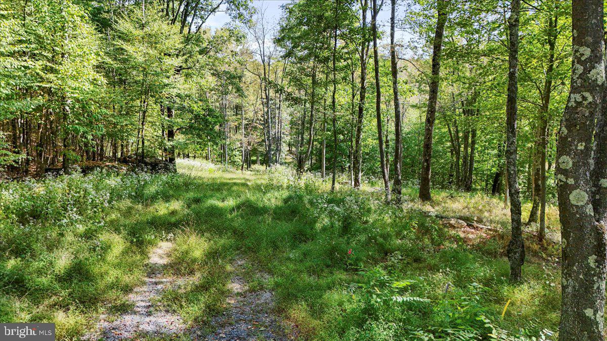 LODESTONE SUB - Land