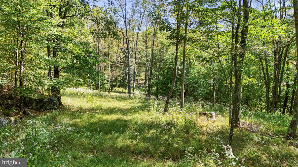 LODESTONE SUB - Land