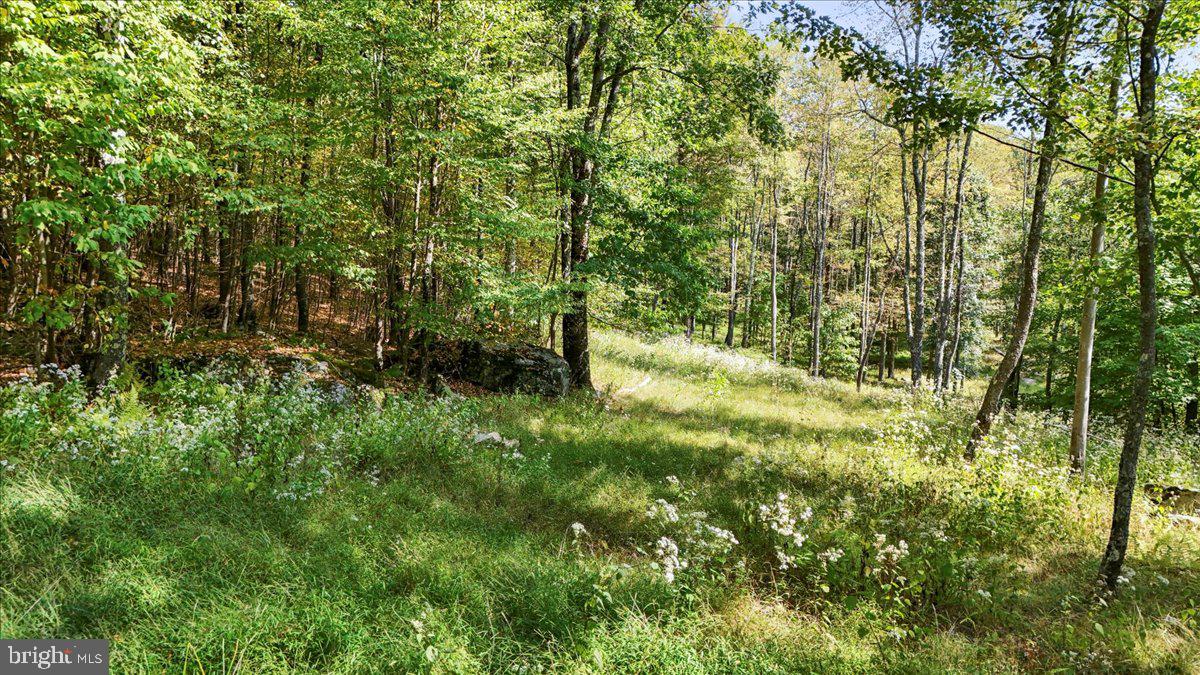 LODESTONE SUB - Land