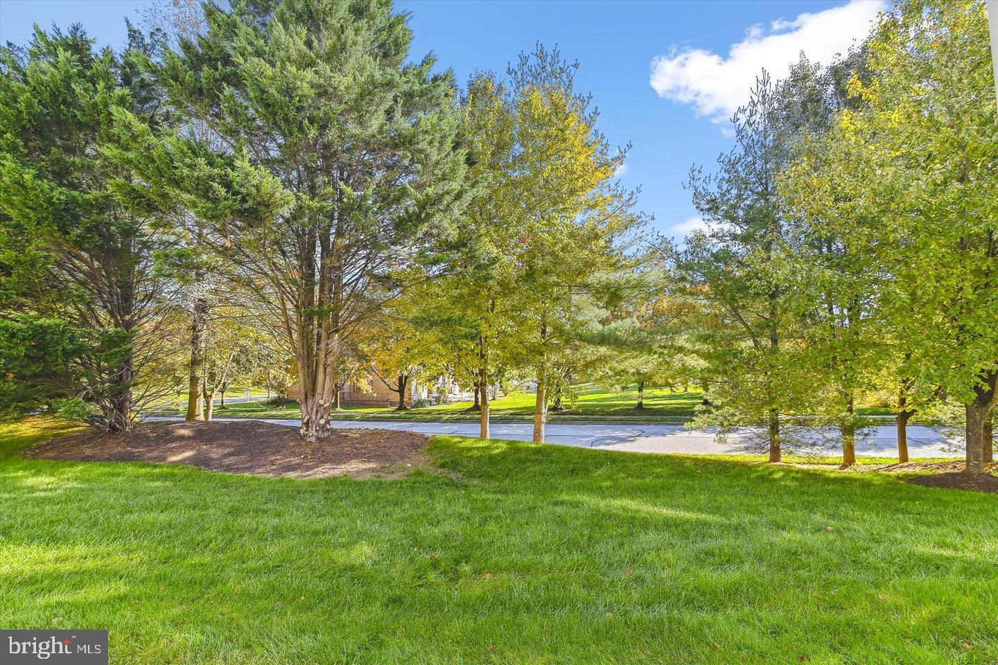 WAVERLY WOODS - Residential