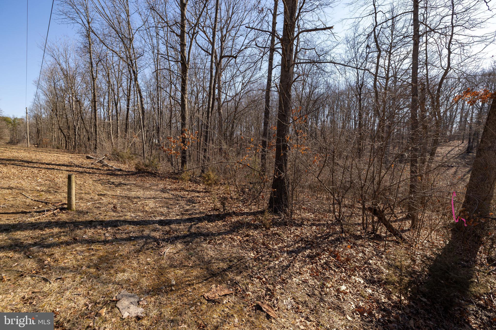 HOPE MILLS ACRES - Land