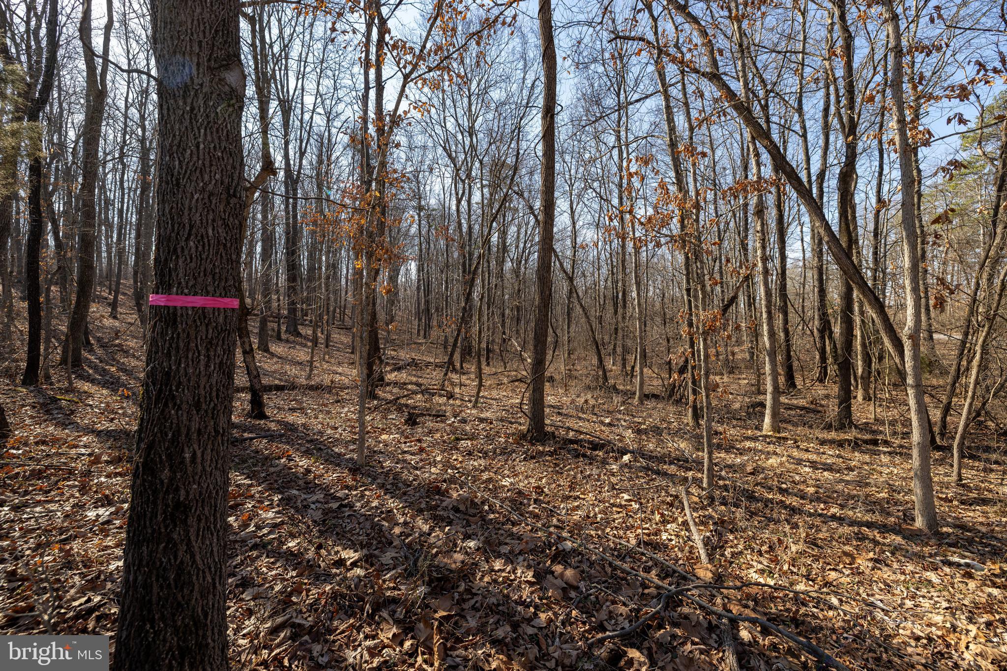 HOPE MILLS ACRES - Land