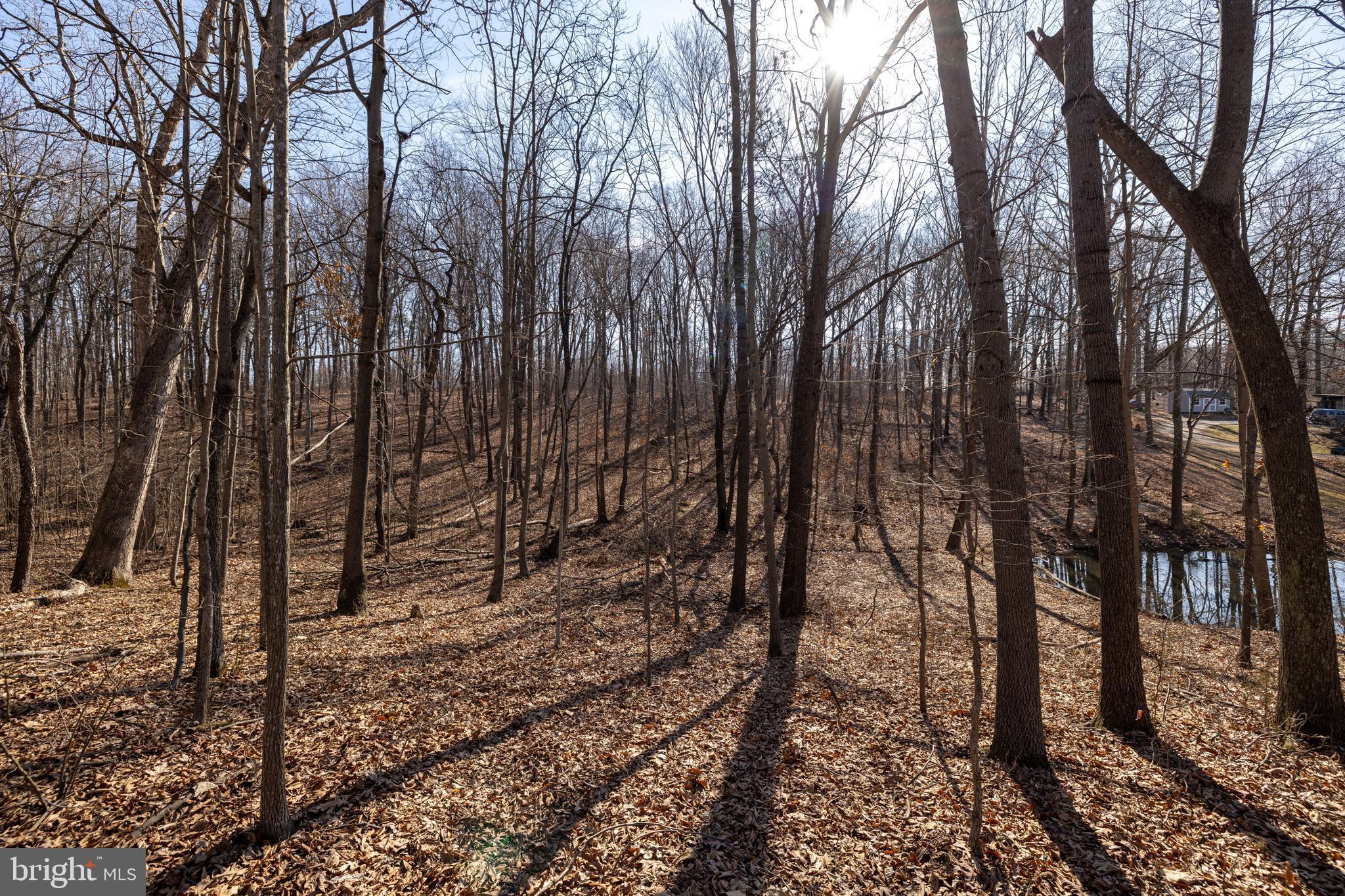 HOPE MILLS ACRES - Land