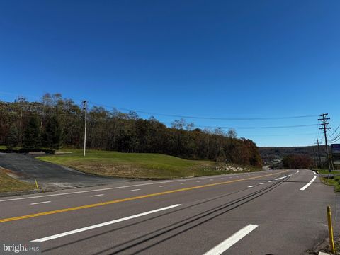 23250 GARRETT HIGHWAY MC HENRY MD 21541