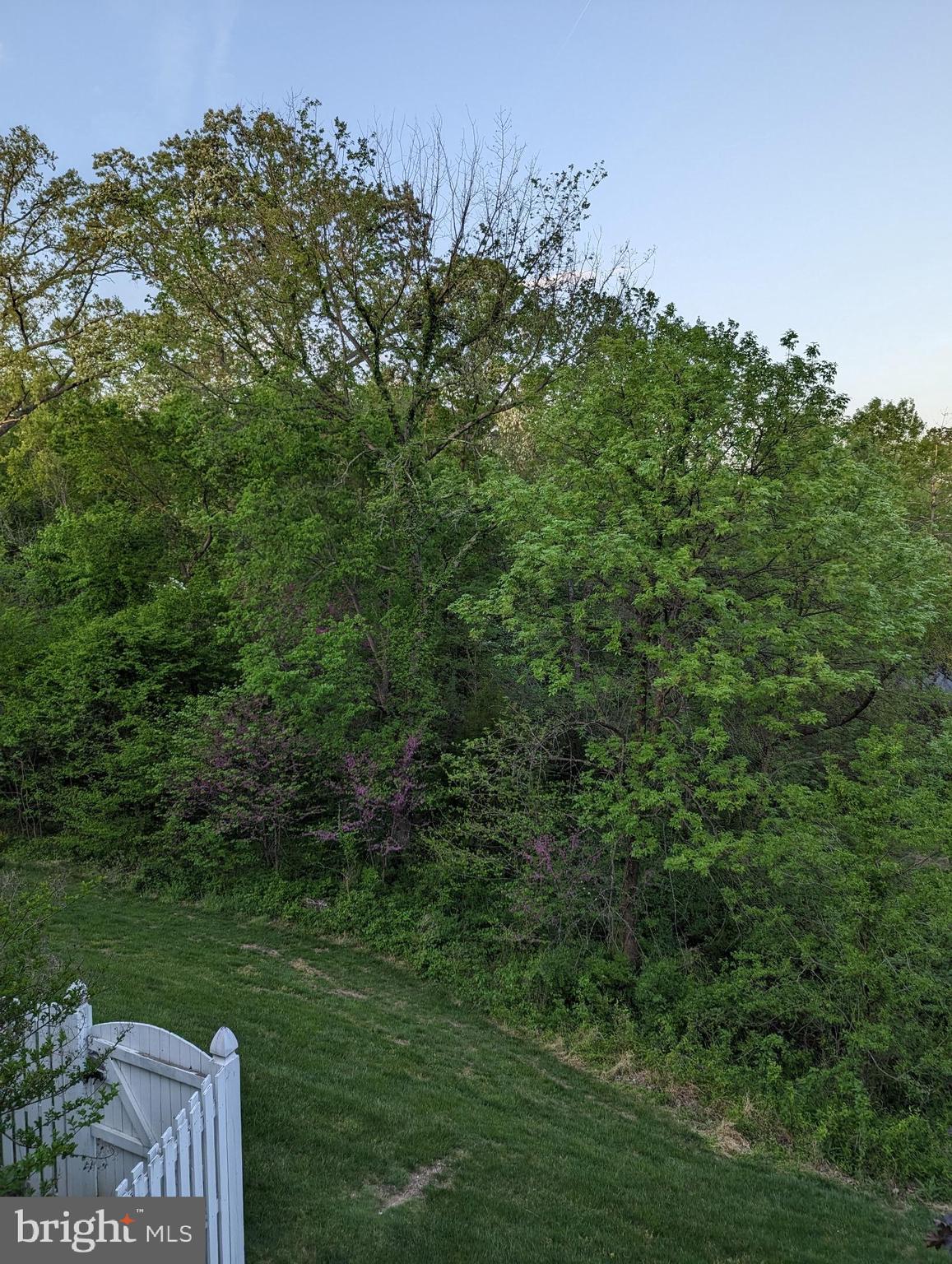 BELMONT COUNTRY CLUB - Residential