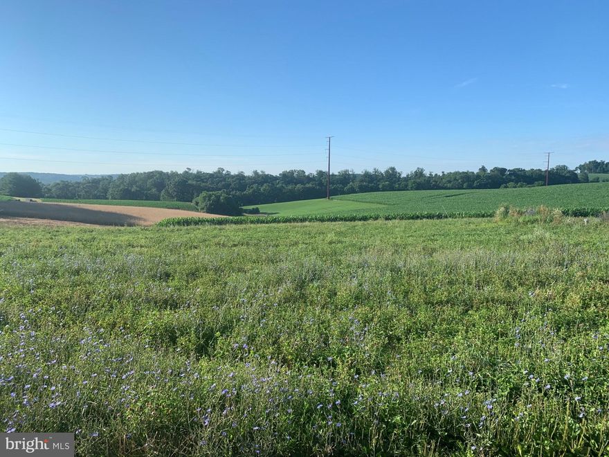 Level 1 acre lot with 2 gpm well and 340 standing water.  Lot backs to farmland with great views