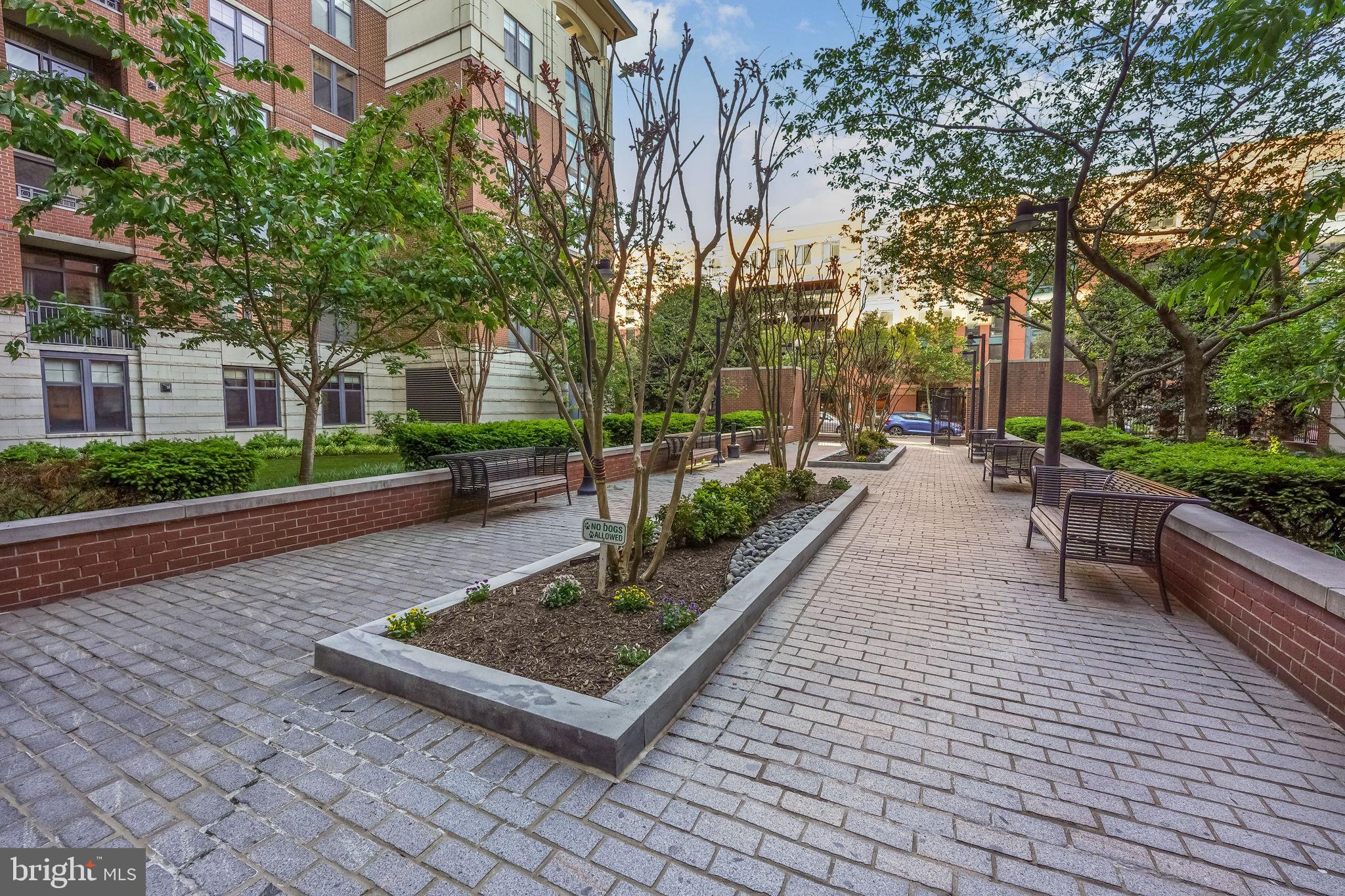 CLARENDON - Residential