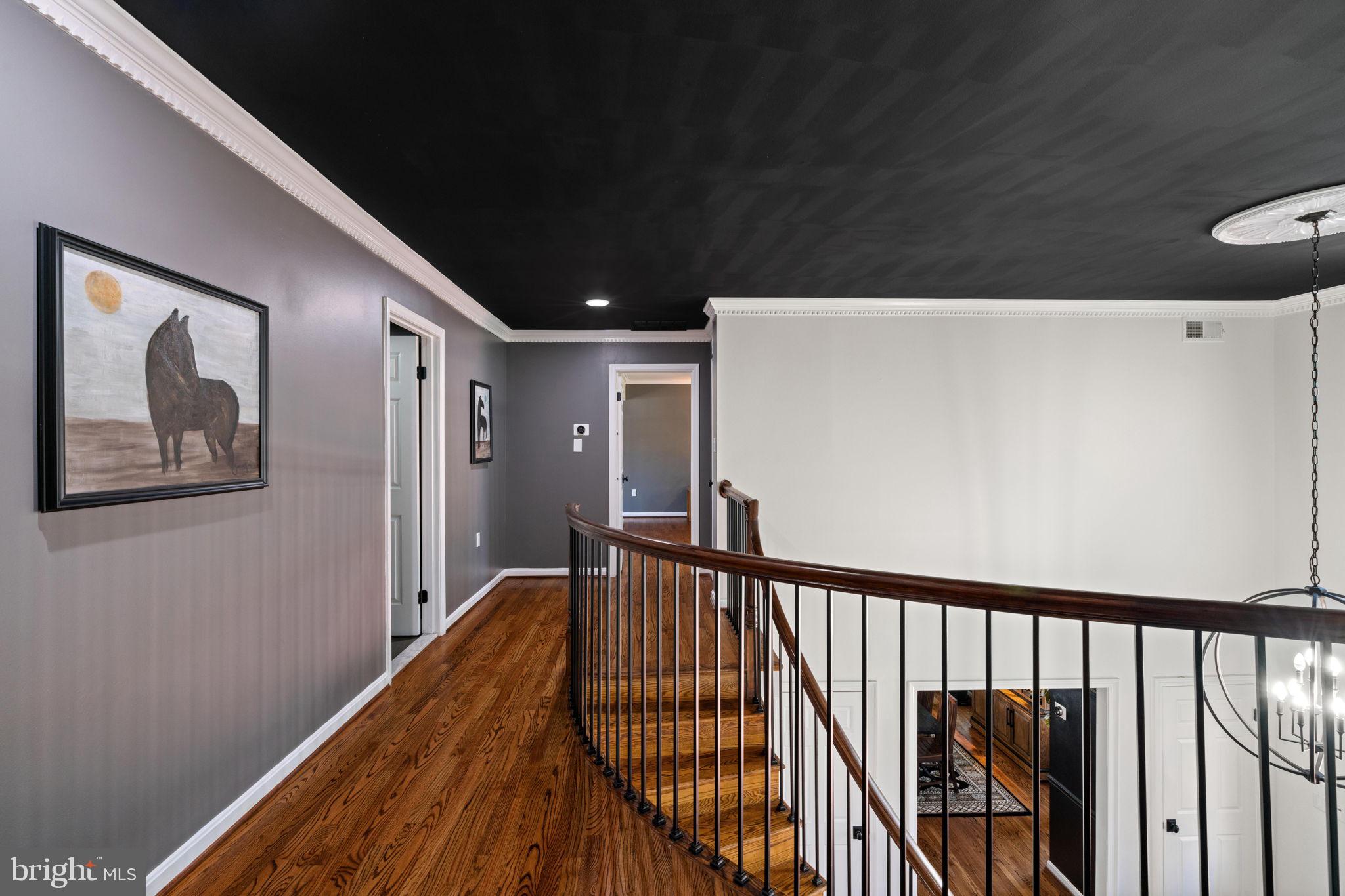 CATHEDRAL FOREST - Residential