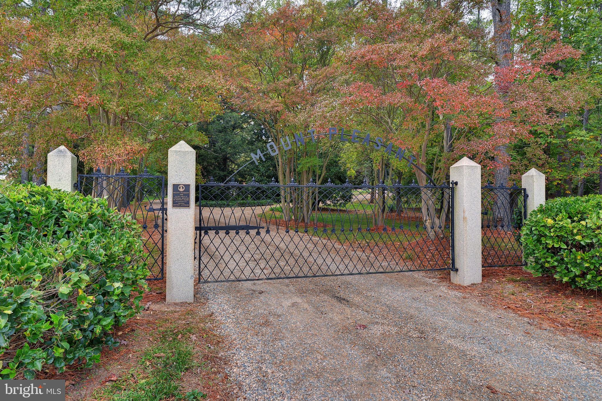 317 COLES POINT ROAD
