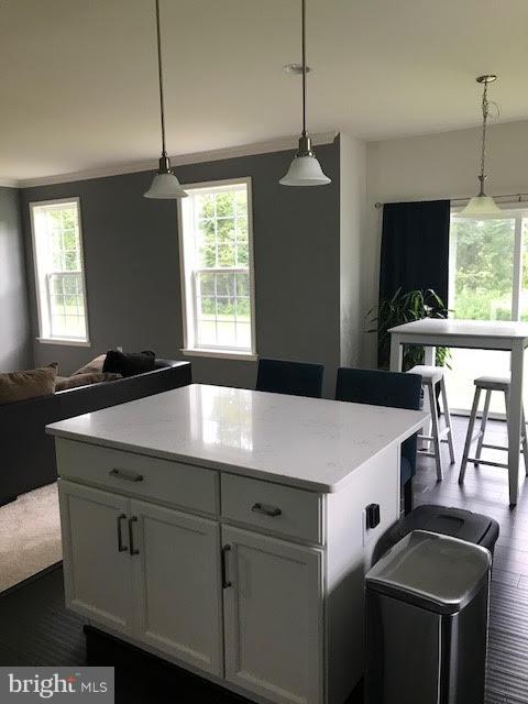 SPRINGDALE FARM - Residential Lease