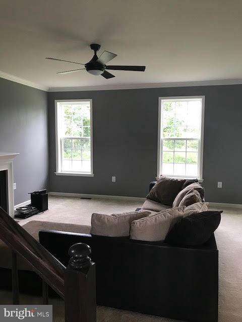 SPRINGDALE FARM - Residential Lease