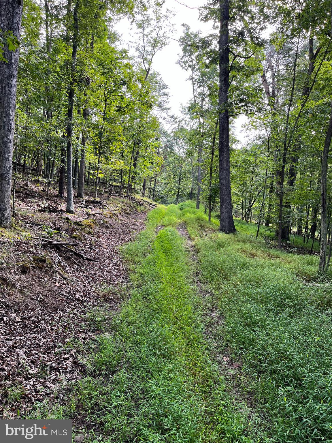 LAKEWOOD ACRES - Land