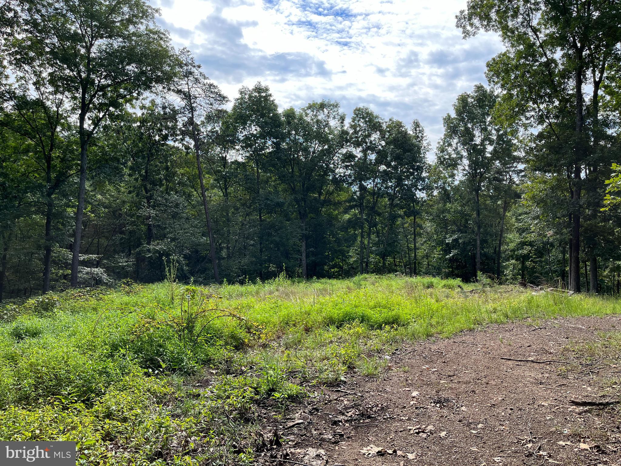 LAKEWOOD ACRES - Land