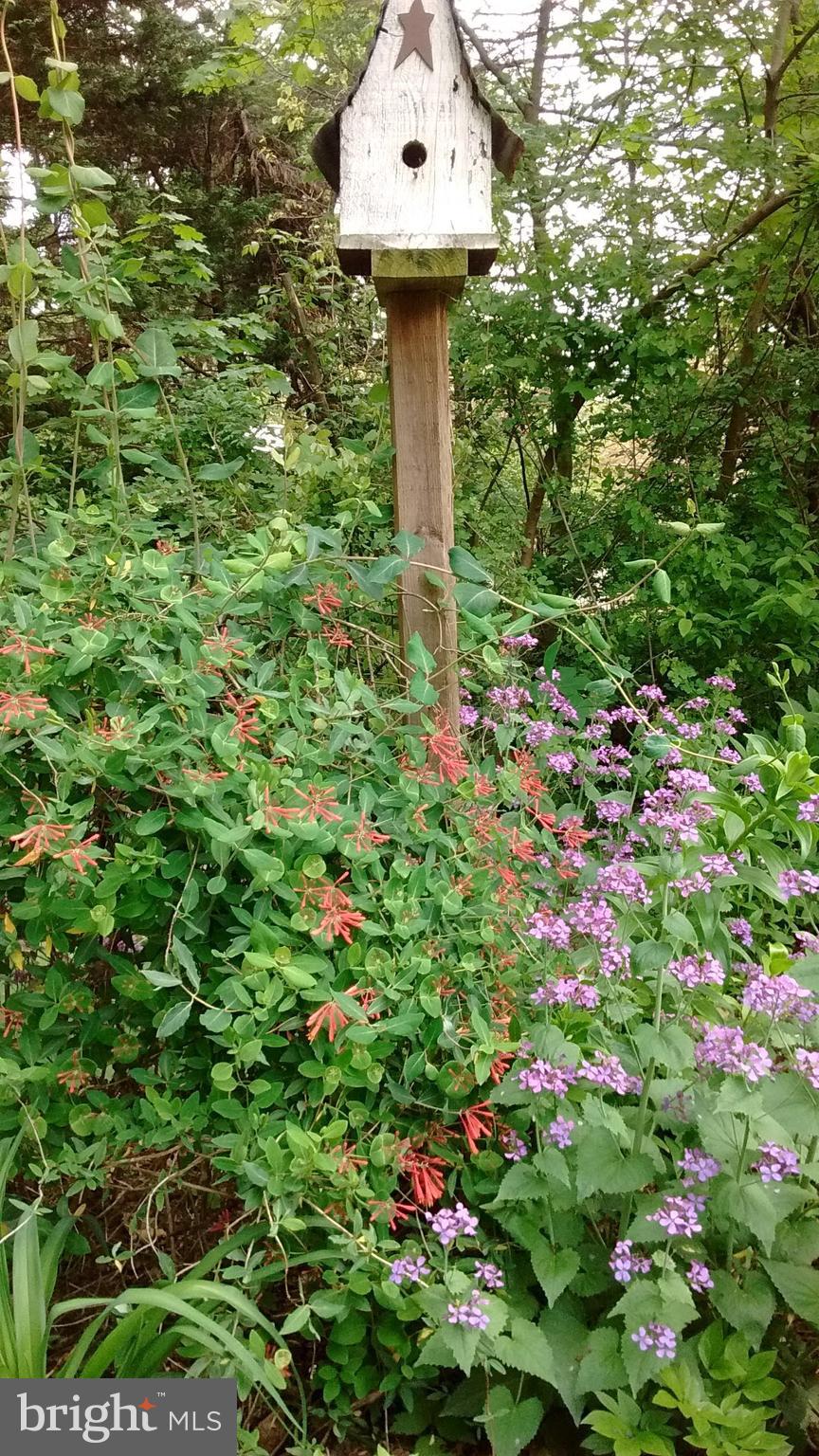 ROLAND PARK - Residential