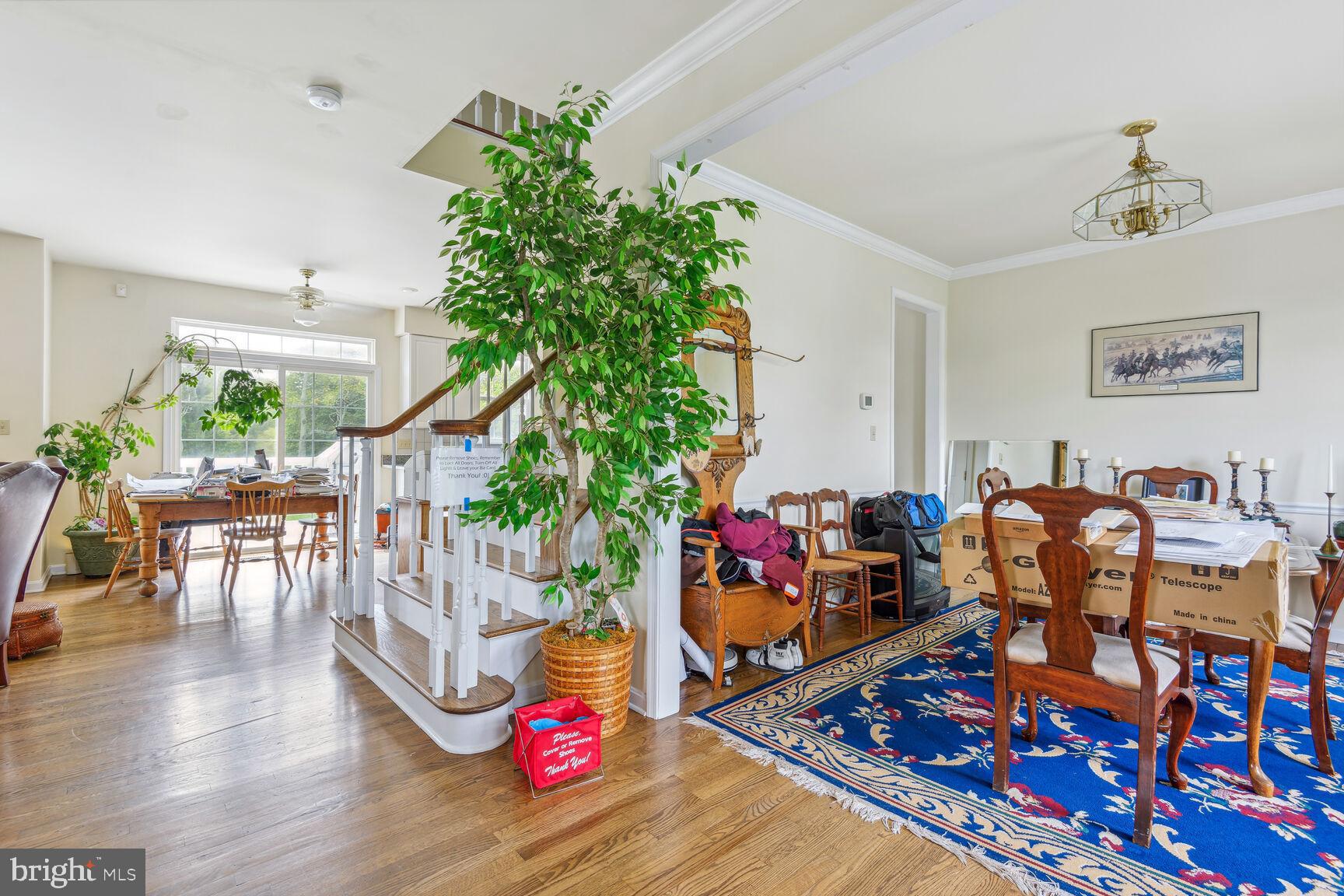 STEPNEY PLANTATION ESTATES - Residential