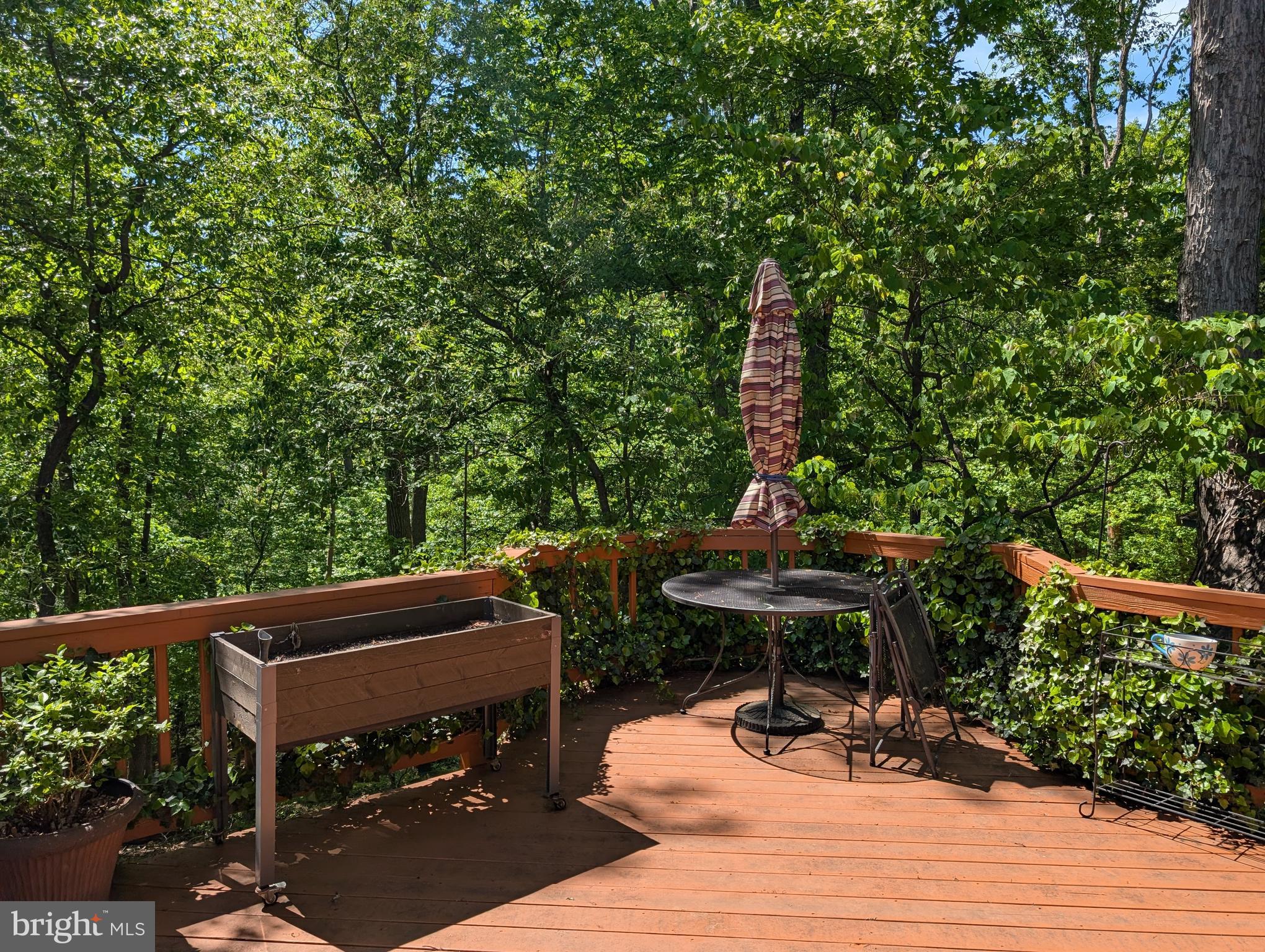 THE PLANTATIONS - Residential