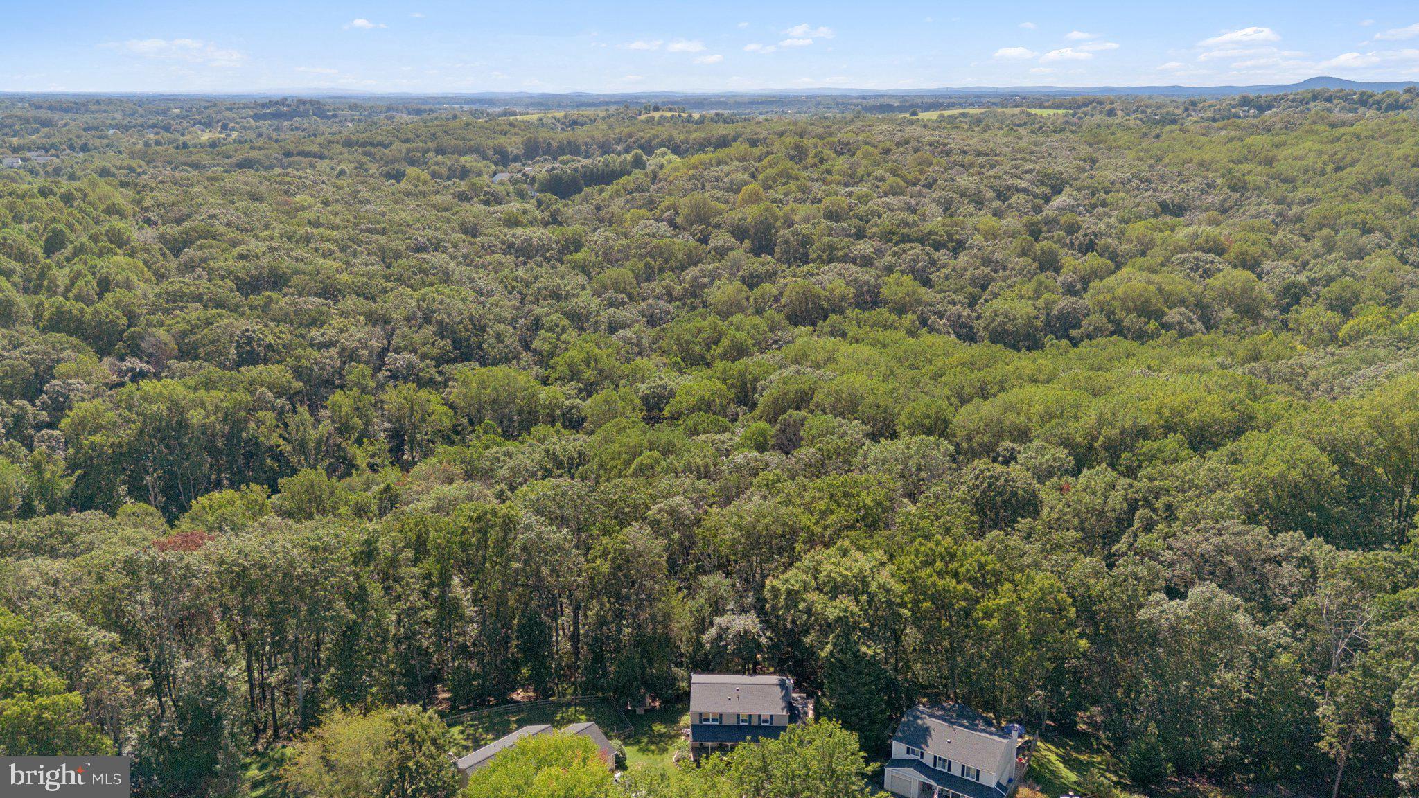 THE PLANTATIONS - Residential