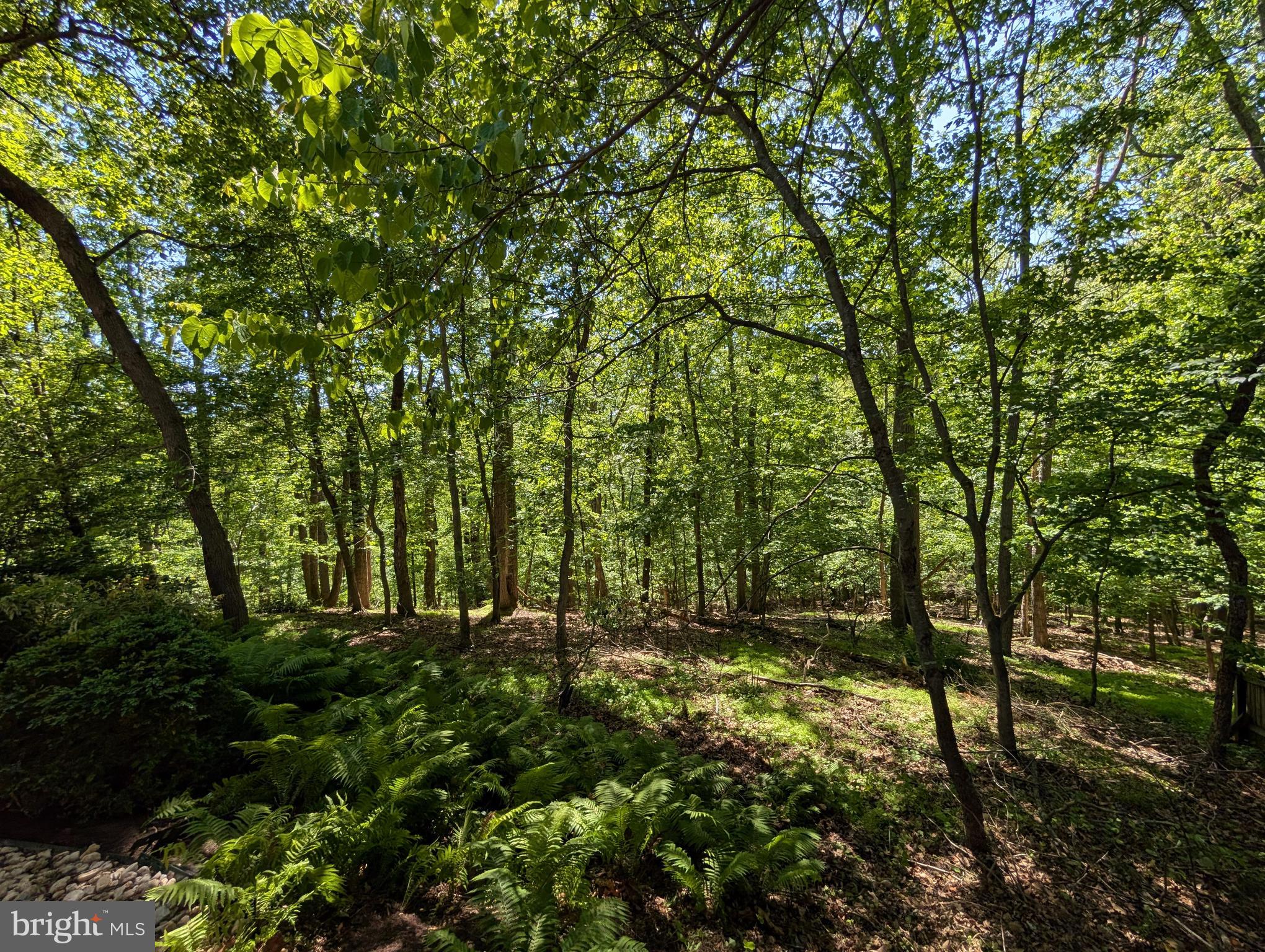 THE PLANTATIONS - Residential