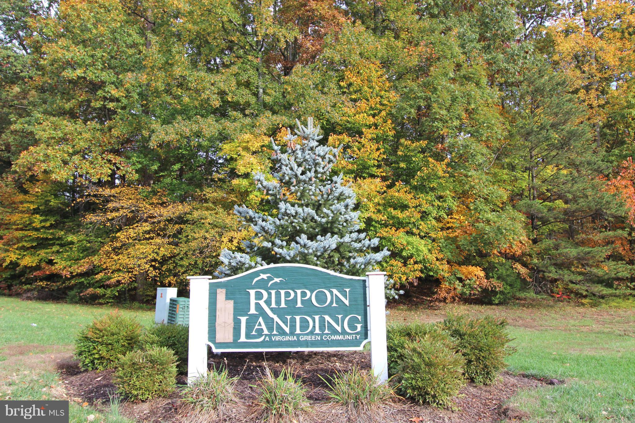 RIPPON LANDING - Residential