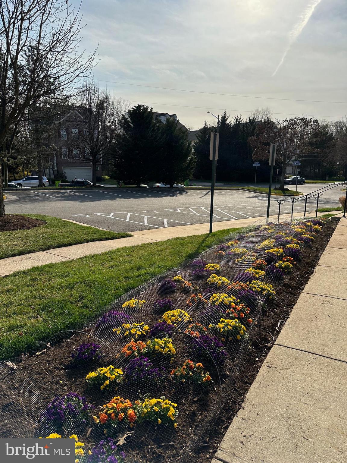 LEGATO CORNER - Residential Lease