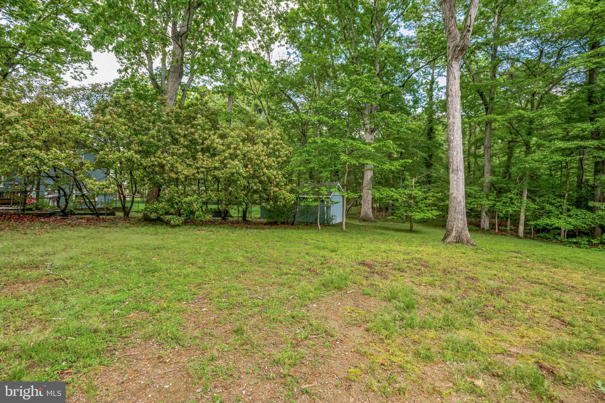 BAY BERRY - Residential Lease