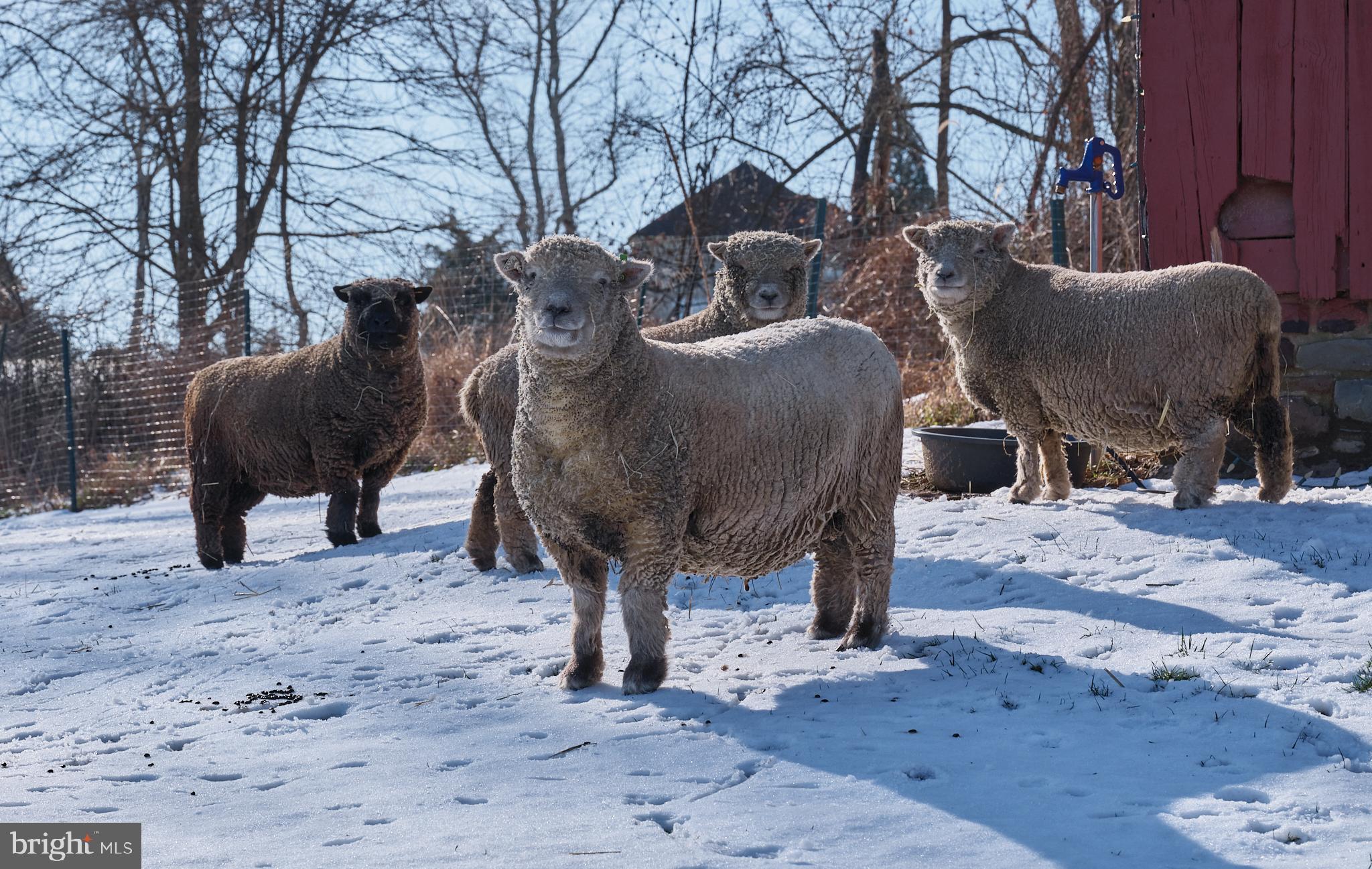 ROLLING HILLS - Residential