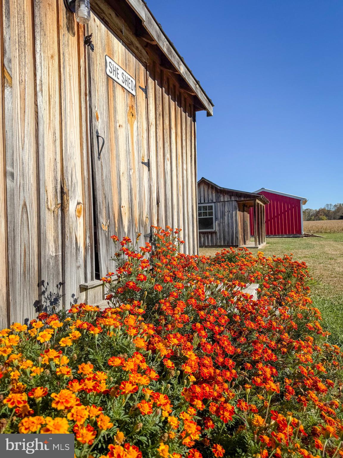 NONE  NO HOA - Residential