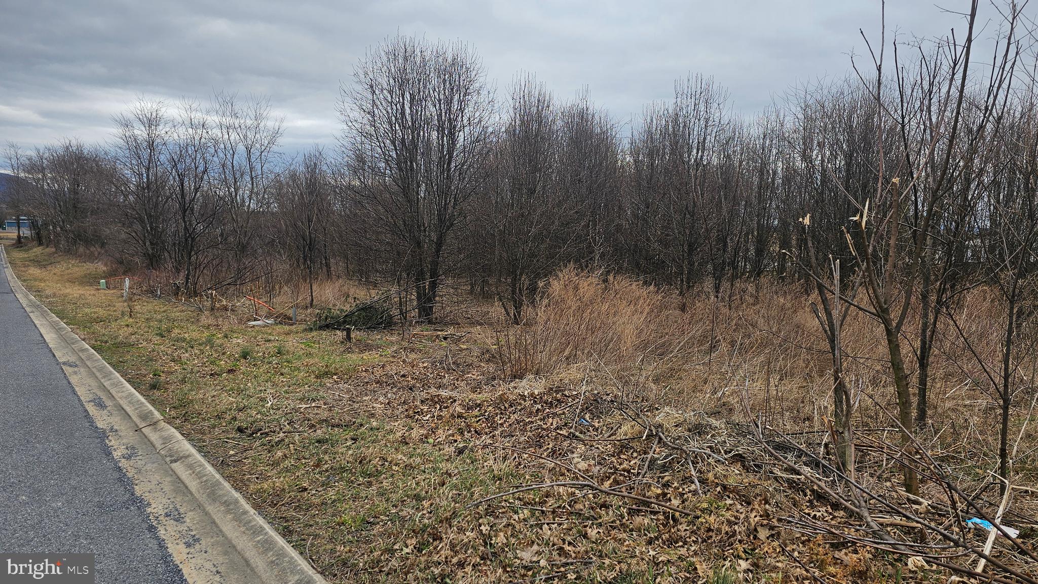LOT 20 BUCHANAN DRIVE