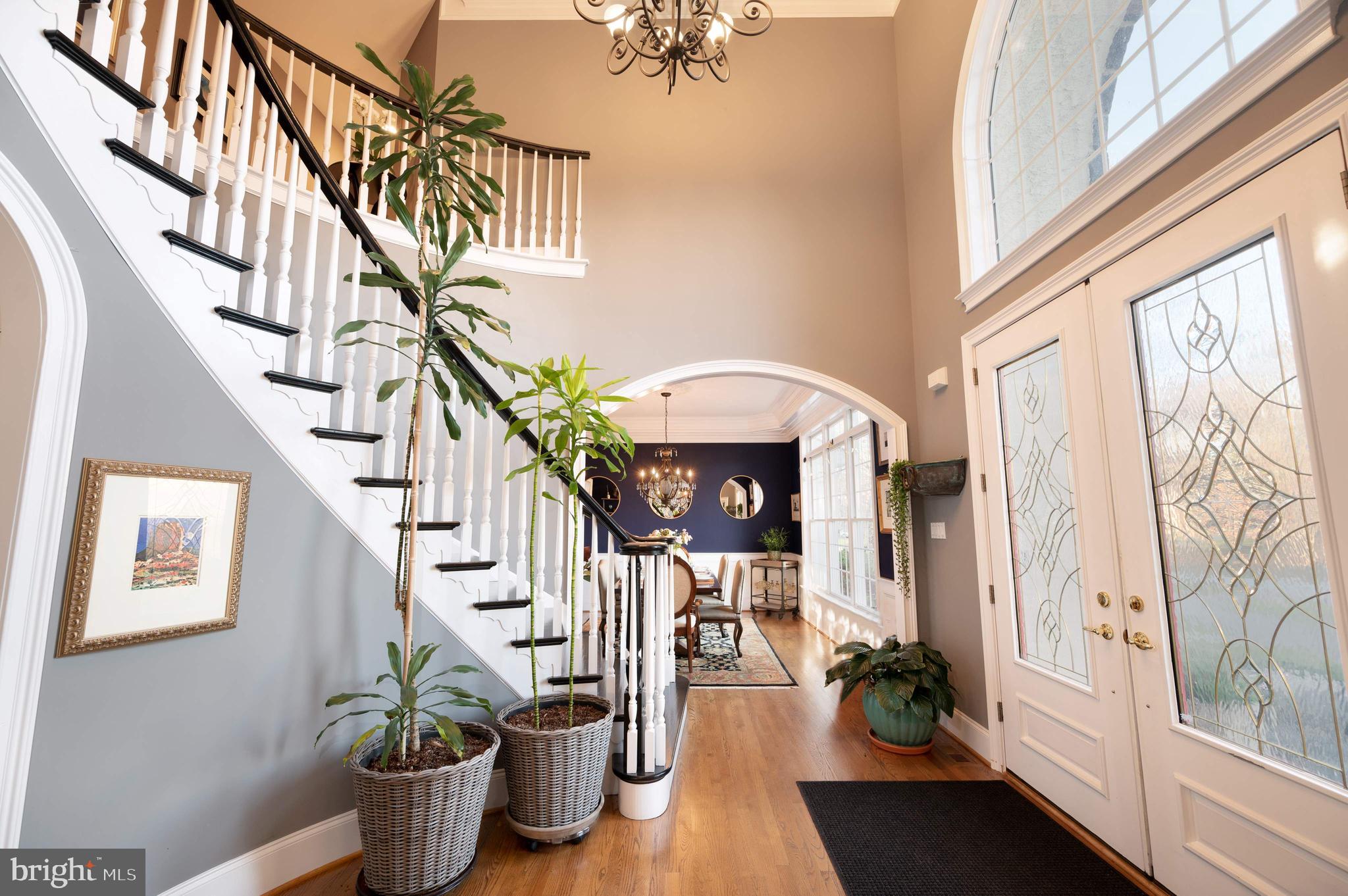 BAYARD MEADOWS - Residential