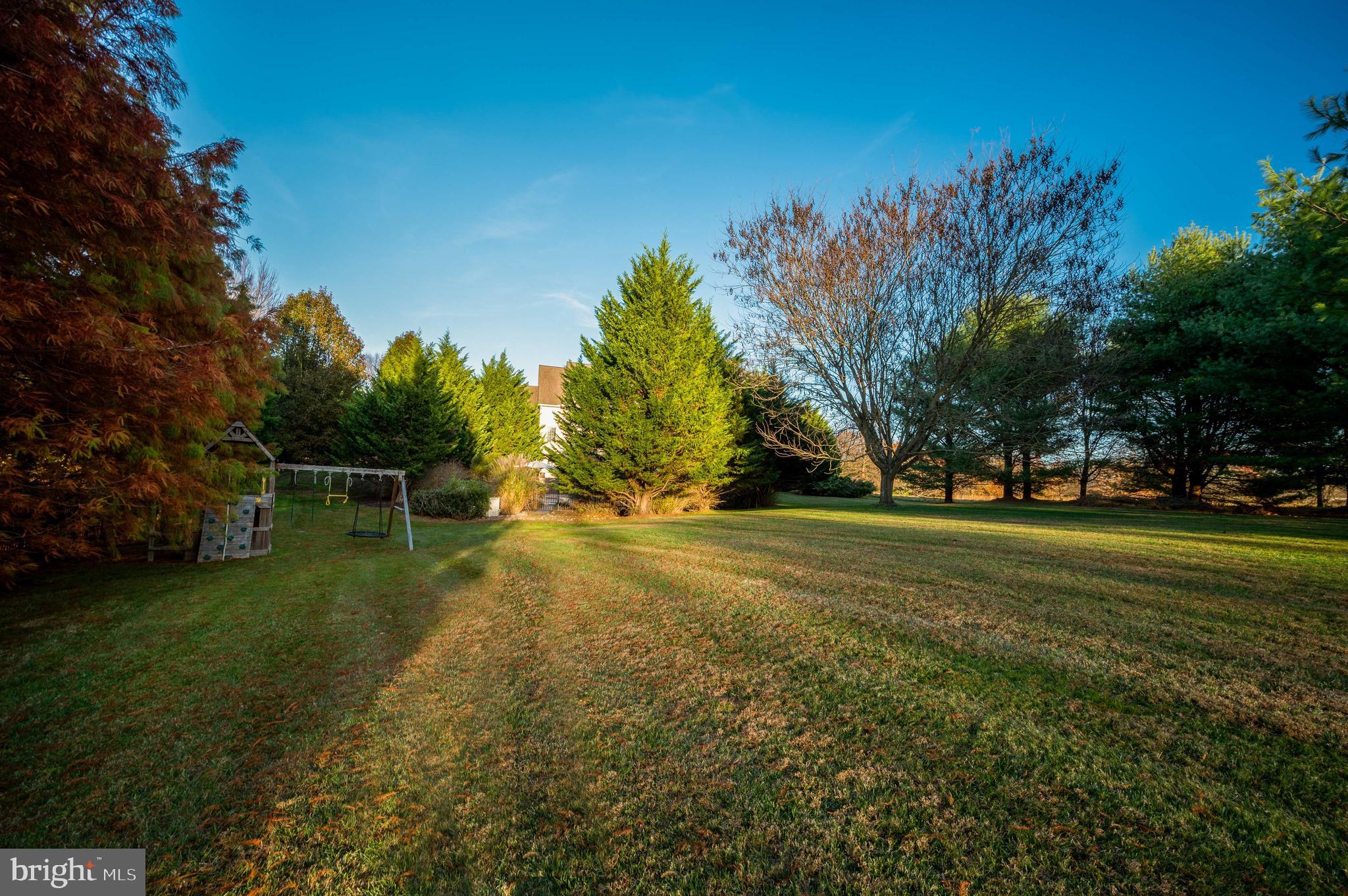 BAYARD MEADOWS - Residential