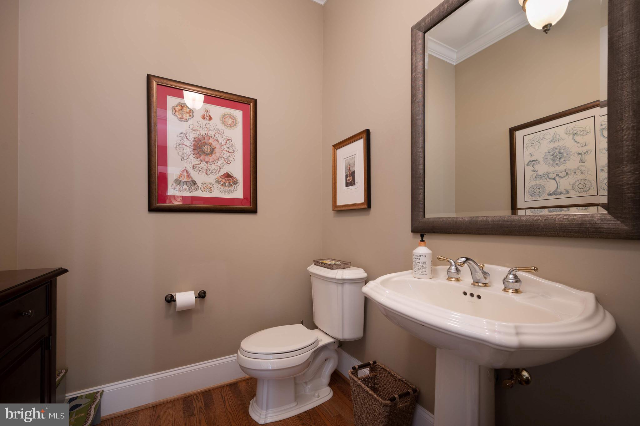 BAYARD MEADOWS - Residential