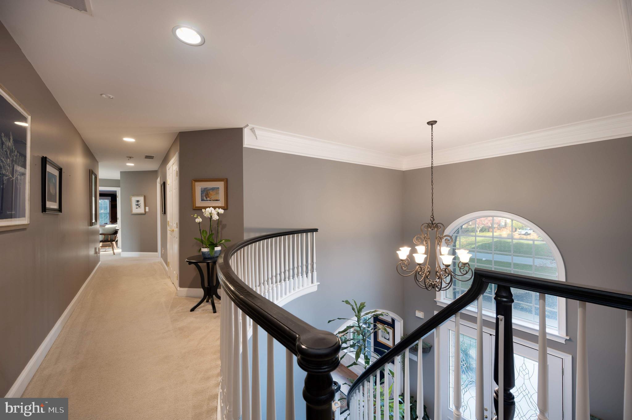 BAYARD MEADOWS - Residential