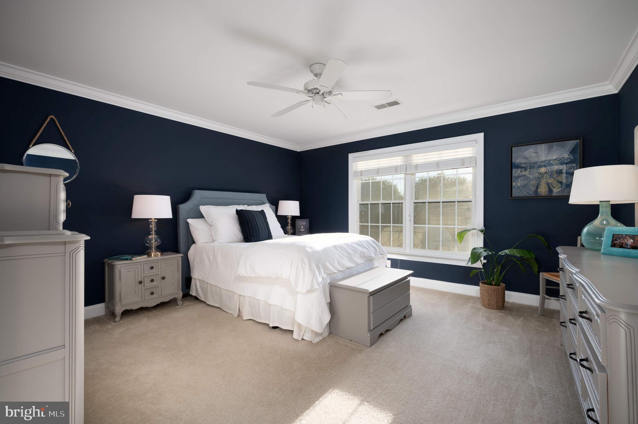BAYARD MEADOWS - Residential