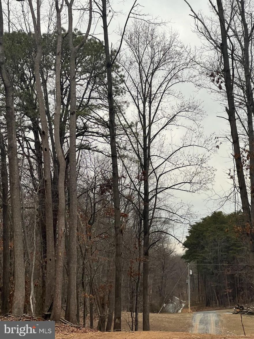 Seller is dividing the current acreage to be 2 parcels. Seller is offering the back 5.12 acres only.