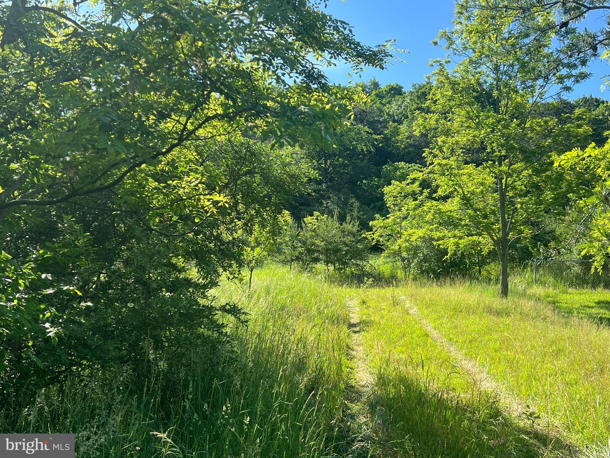 Excellent opportunity to own a gently sloped 1.58 acre building lot with public water and public sewer hookup available!