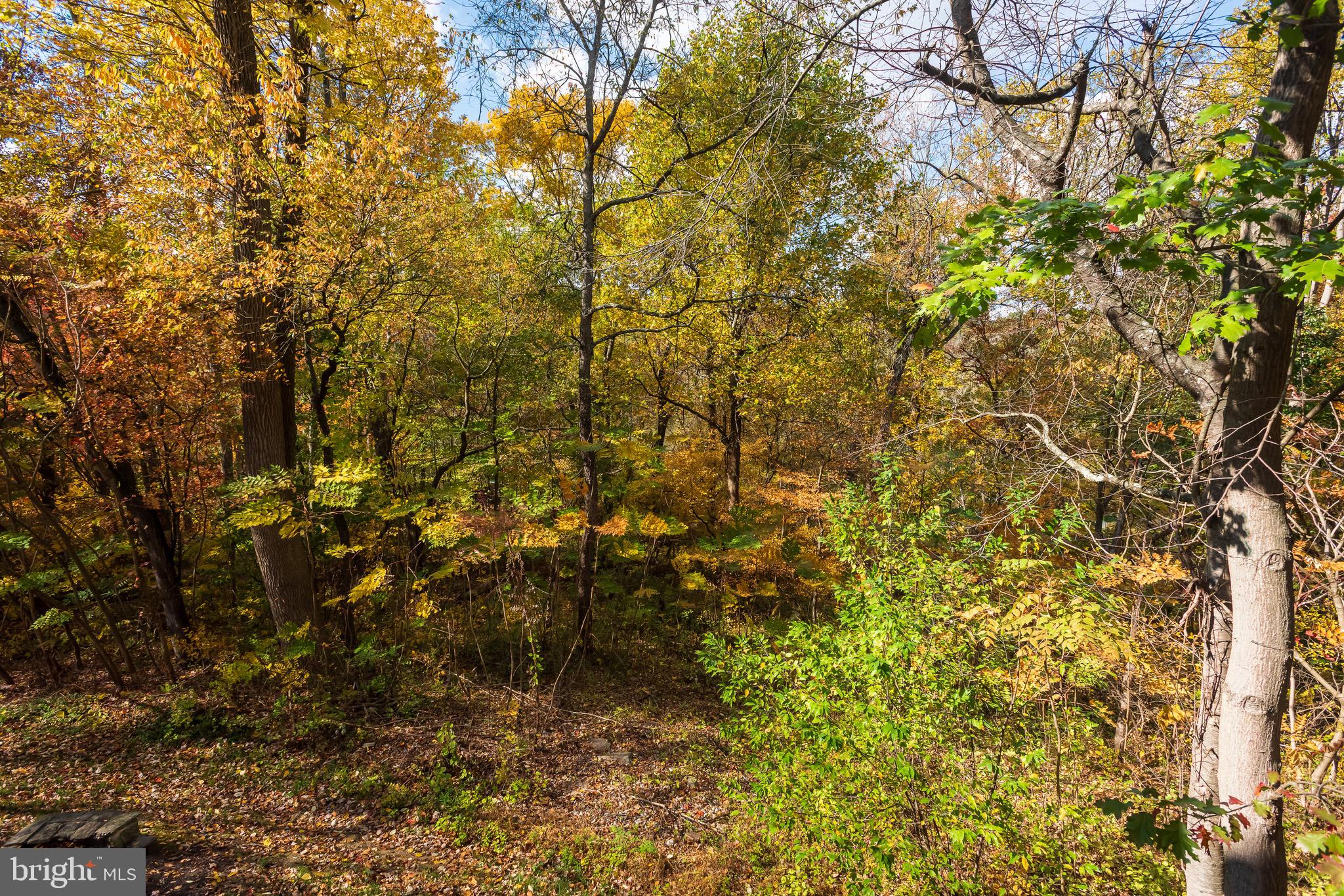 RAVENSCLIFF - Residential