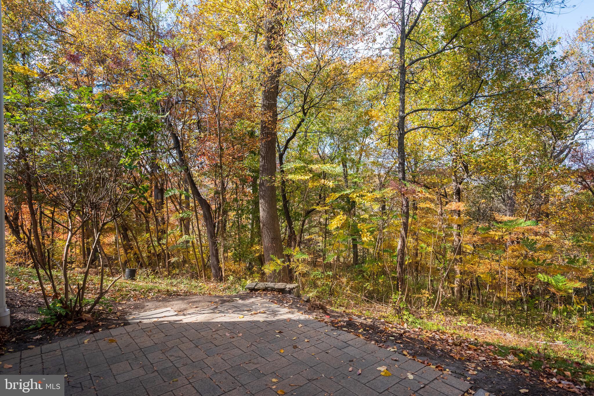 RAVENSCLIFF - Residential