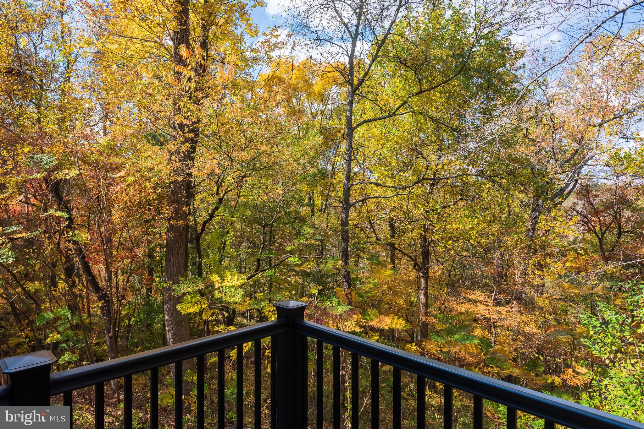 RAVENSCLIFF - Residential