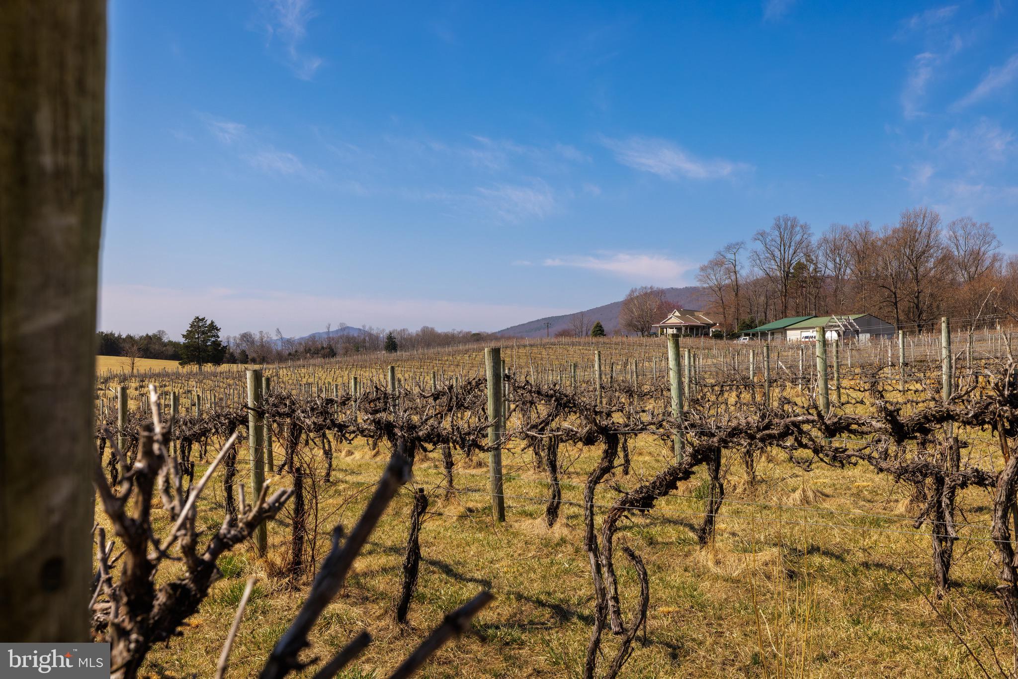 NONE AVAILABLE - Farm