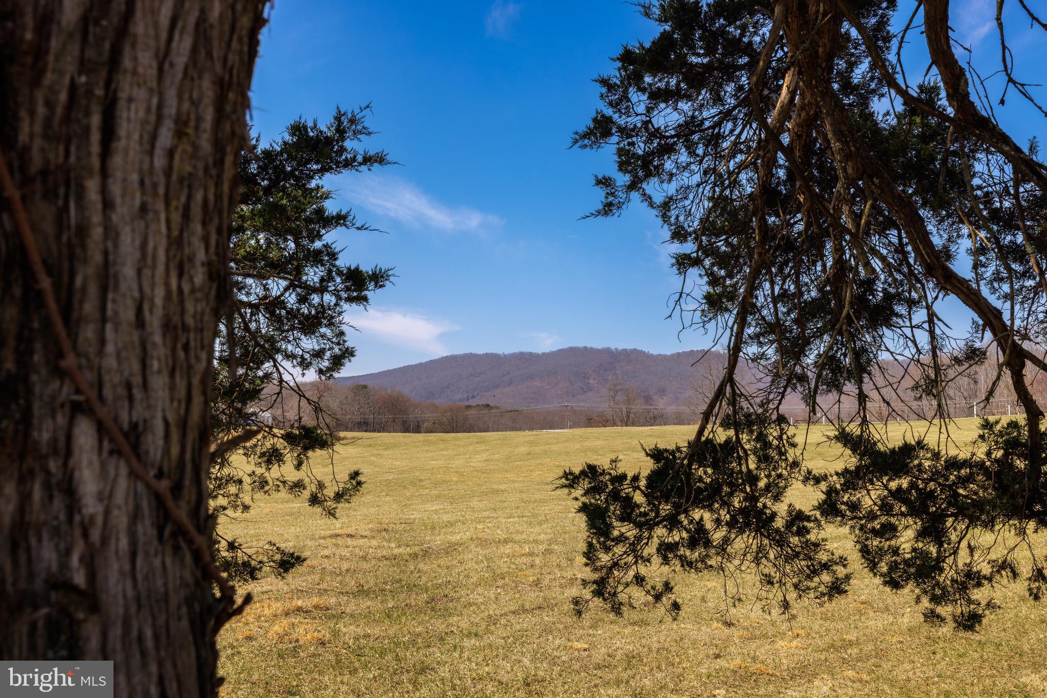 NONE AVAILABLE - Farm