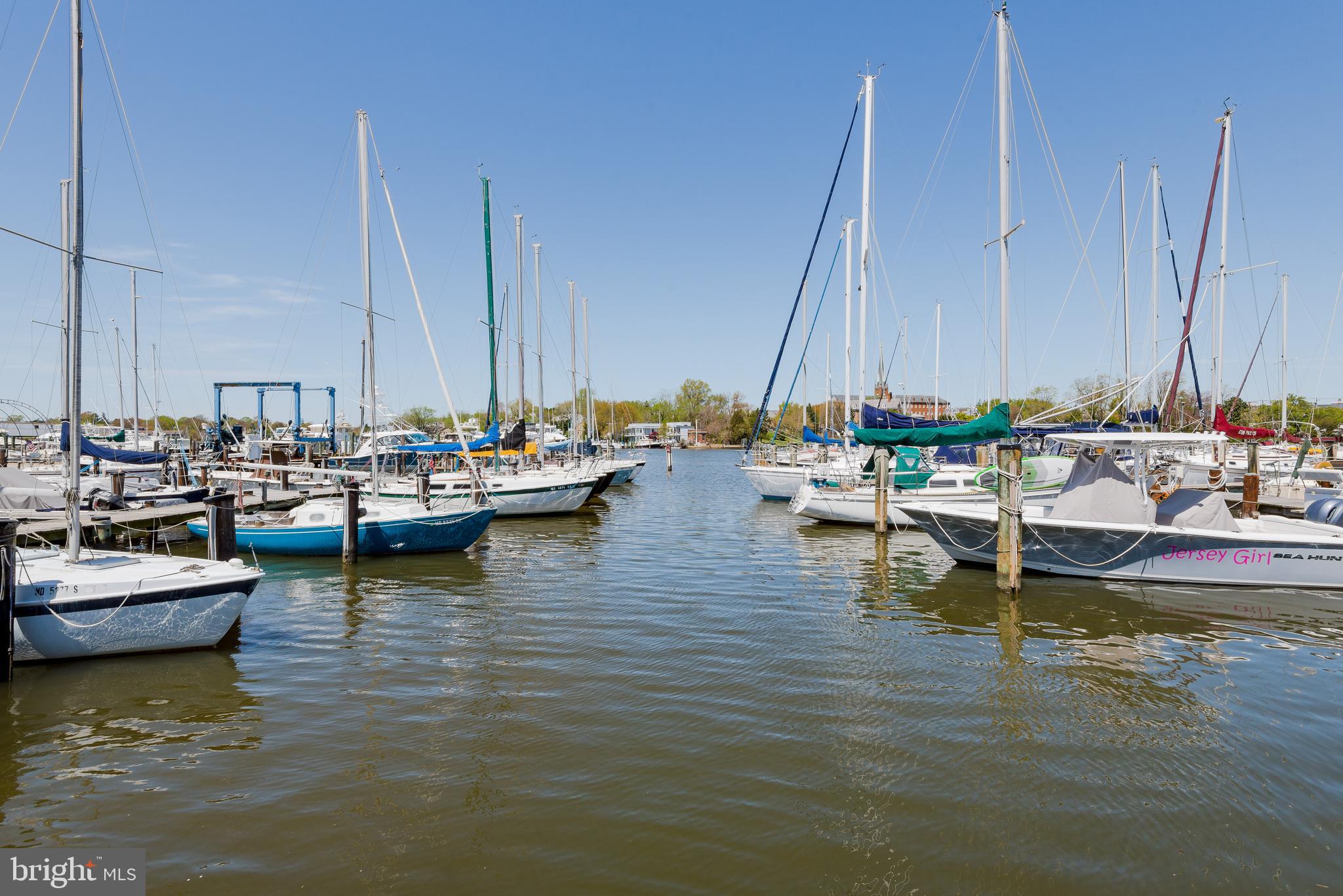 BEECHWOOD HILL - Residential